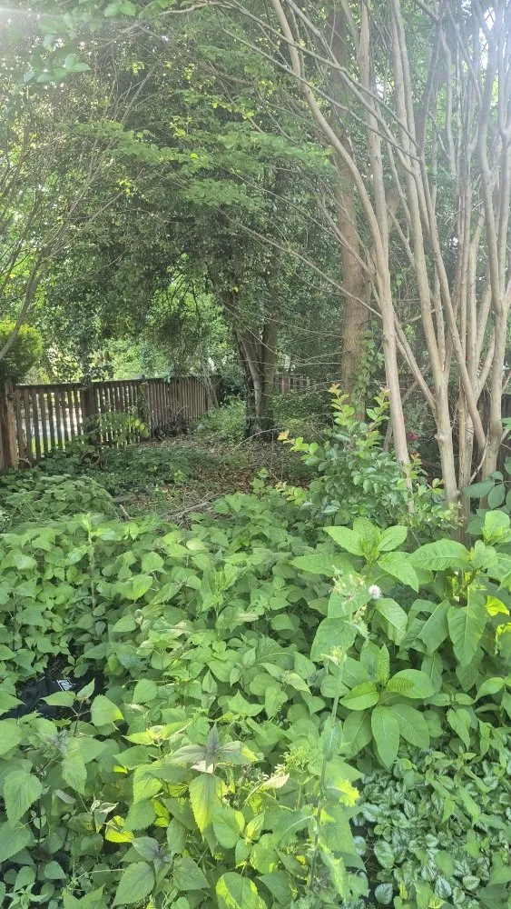 Local lawn mowing service experts serving Camp Hill, PA - Grass Gurus