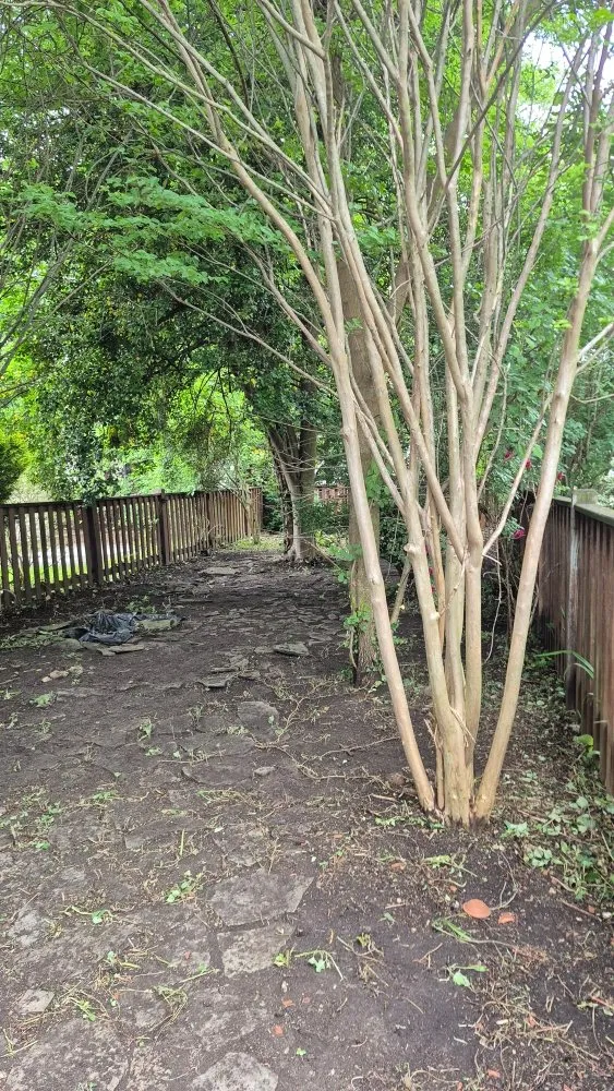 Trusted lawn care service in Camp Hill, PA by Grass Gurus