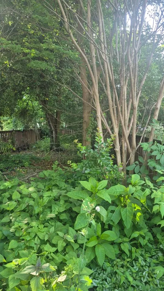 Top-rated outdoor landscaping in Camp Hill, PA - Grass Gurus