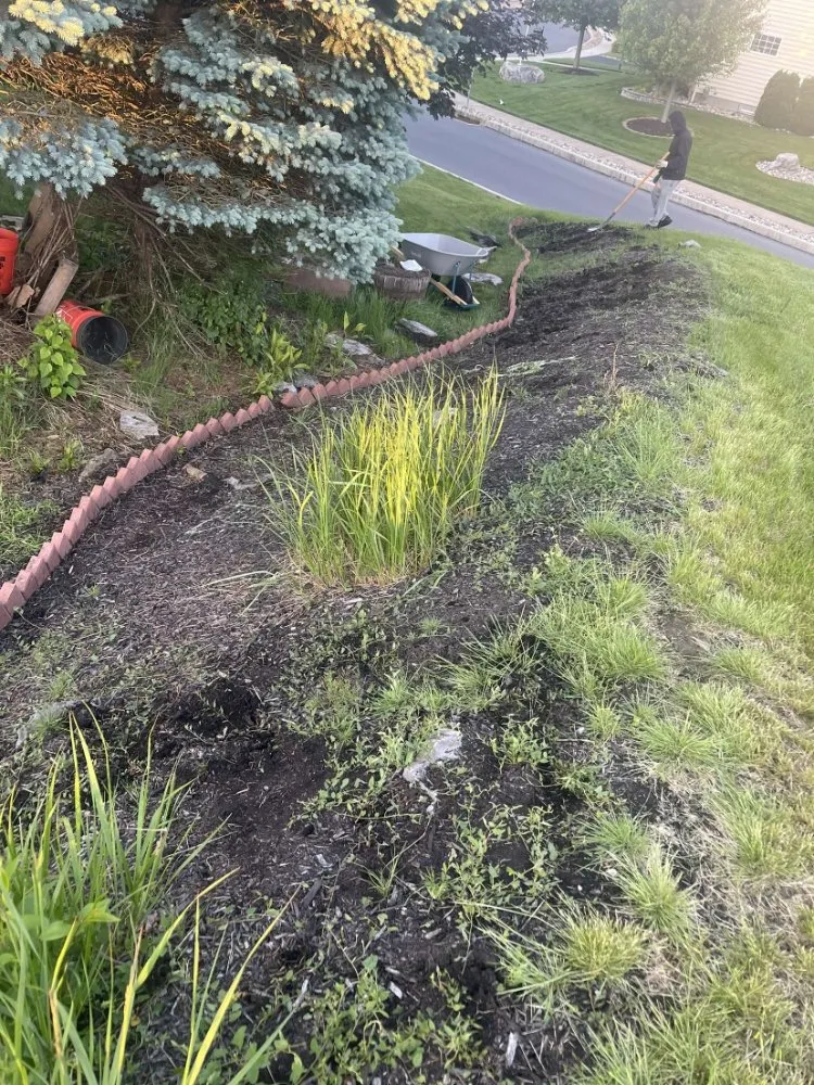 Trusted landscaping services near you in Camp Hill, PA by Grass Gurus