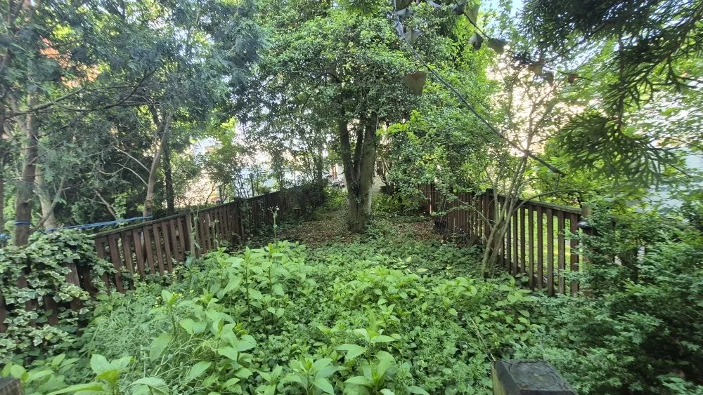 Reliable yard cleanup service for outdoor upgrades in Camp Hill, PA by Grass Gurus