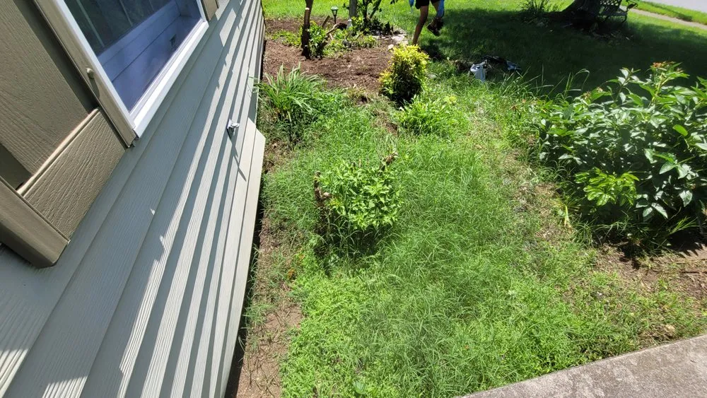 Top-rated landscape design with custom design in Camp Hill, PA by Grass Gurus