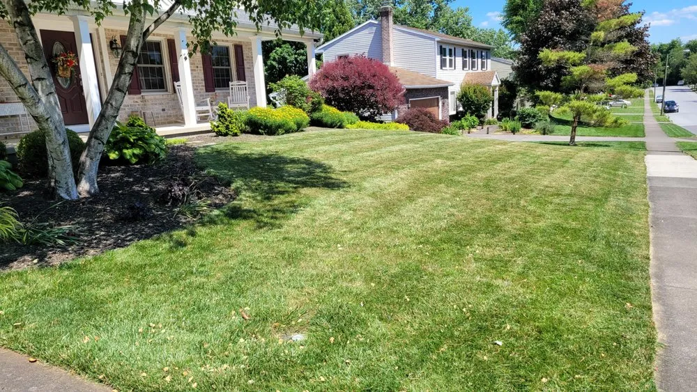 Affordable lawn mowing service in Camp Hill, PA by Grass Gurus