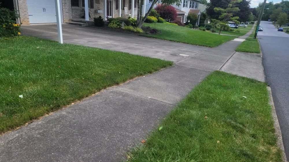 Trusted outdoor landscaping experts serving Camp Hill, PA - Grass Gurus