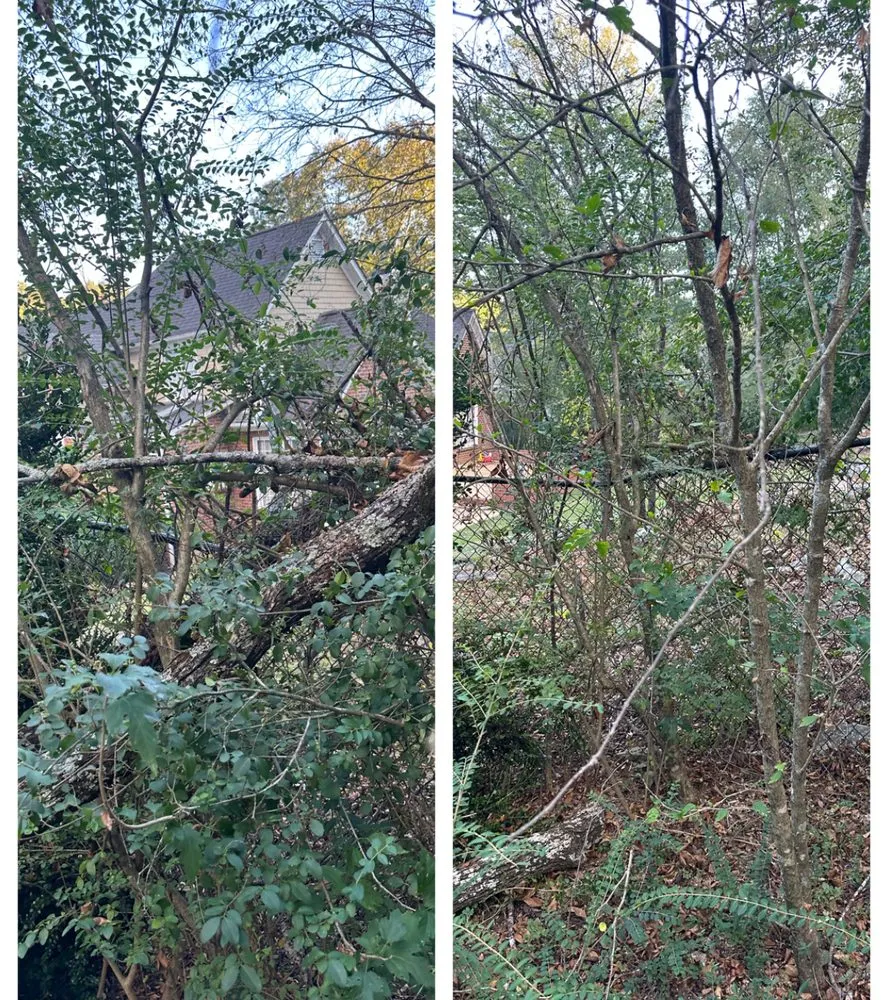 Local outdoor landscaping experts serving Pelham, AL - Grass Gurus Lawn Care