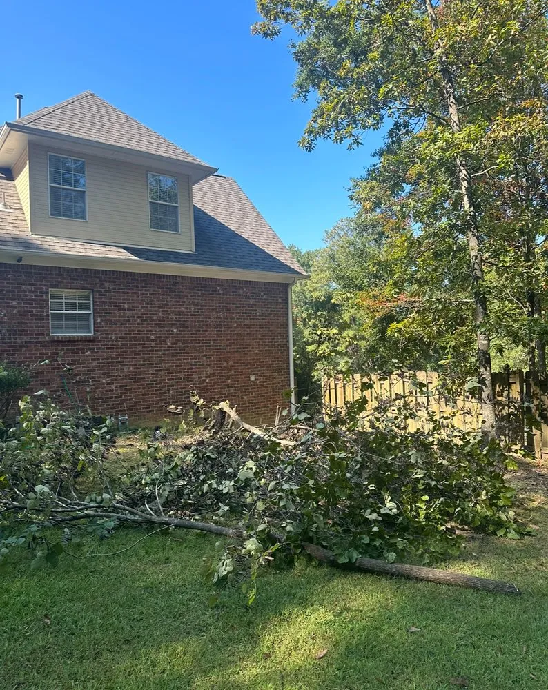 Custom yard maintenance in Pelham, AL - Grass Gurus Lawn Care