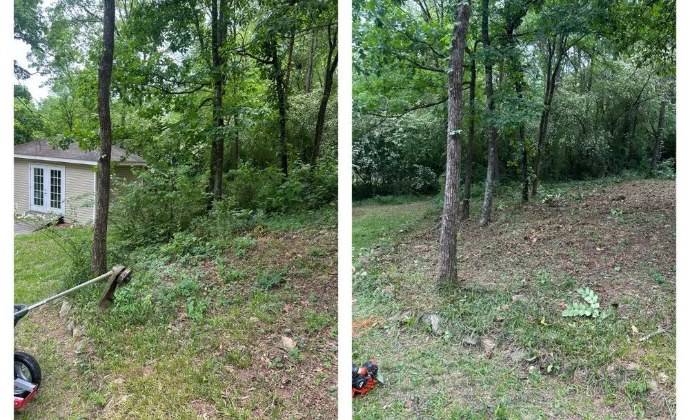 Affordable yard cleanup service experts serving Pelham, AL - Grass Gurus Lawn Care