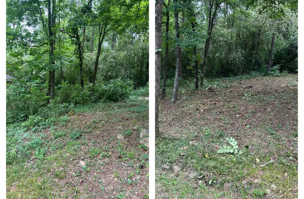 Expert outdoor landscaping in Pelham, AL by Grass Gurus Lawn Care