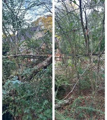 Grass Gurus Lawn Care Logo