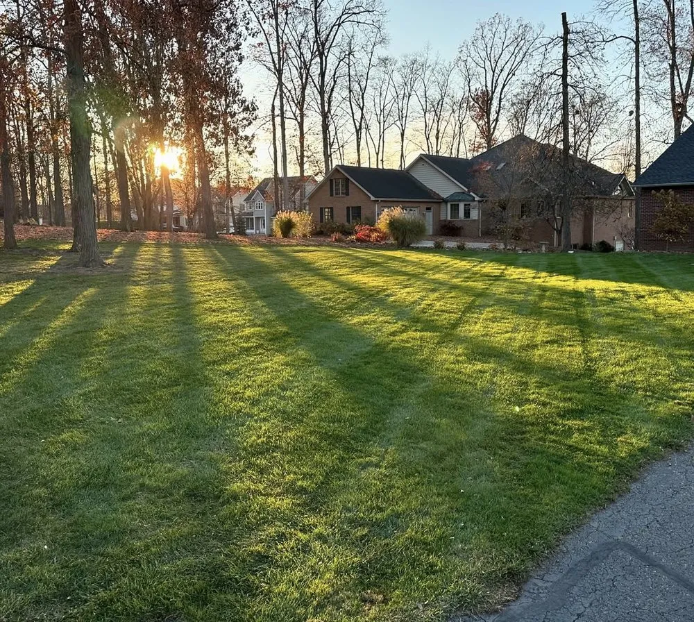 Top-rated yard cleanup service experts serving New Britain, CT - Grass Gurus