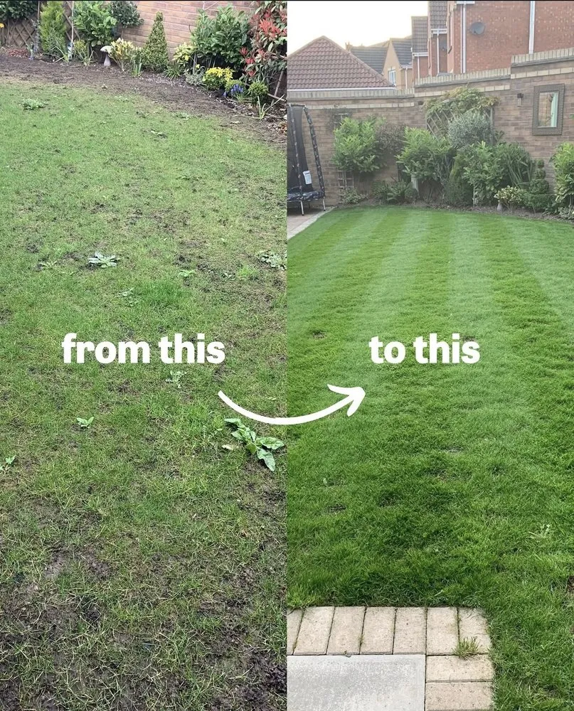 Top-rated lawn mowing service for beautiful yards across New Britain, CT - Grass Gurus