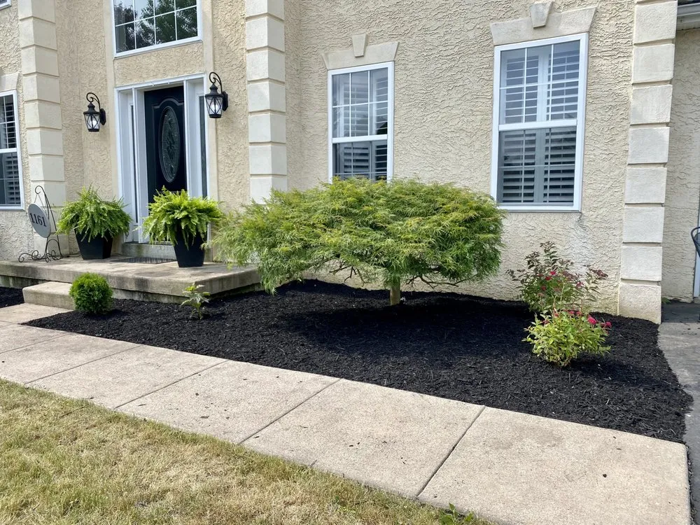 Expert yard cleanup service experts serving Quakertown, PA - Grass Gurus