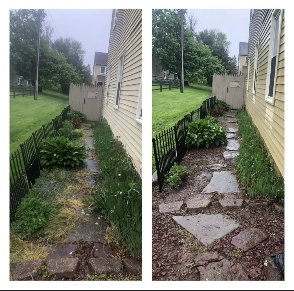 Affordable landscaping services in Quakertown, PA by Grass Gurus