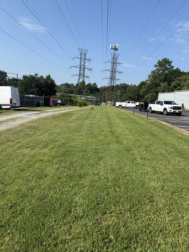 Local landscaping services for year-round maintenance in Sandston, VA by Grass Gurus