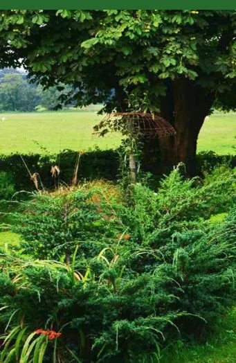 Trusted outdoor landscaping in Acworth, GA - Grass Guys