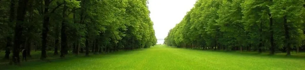 Local yard cleanup service experts serving Acworth, GA - Grass Guys