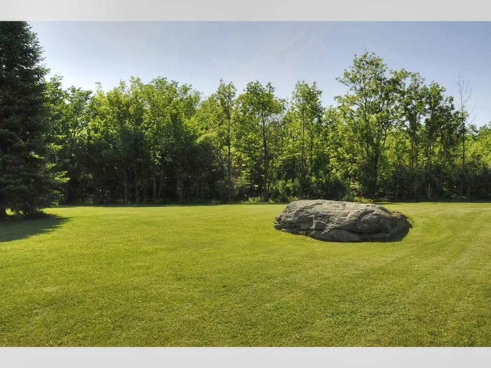 Affordable landscape design near you in Acworth, GA by Grass Guys