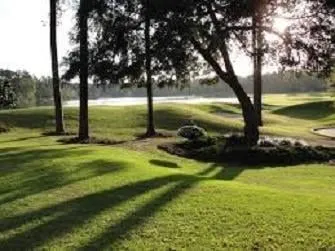 Reliable residential landscaping in Acworth, GA by Grass Guys