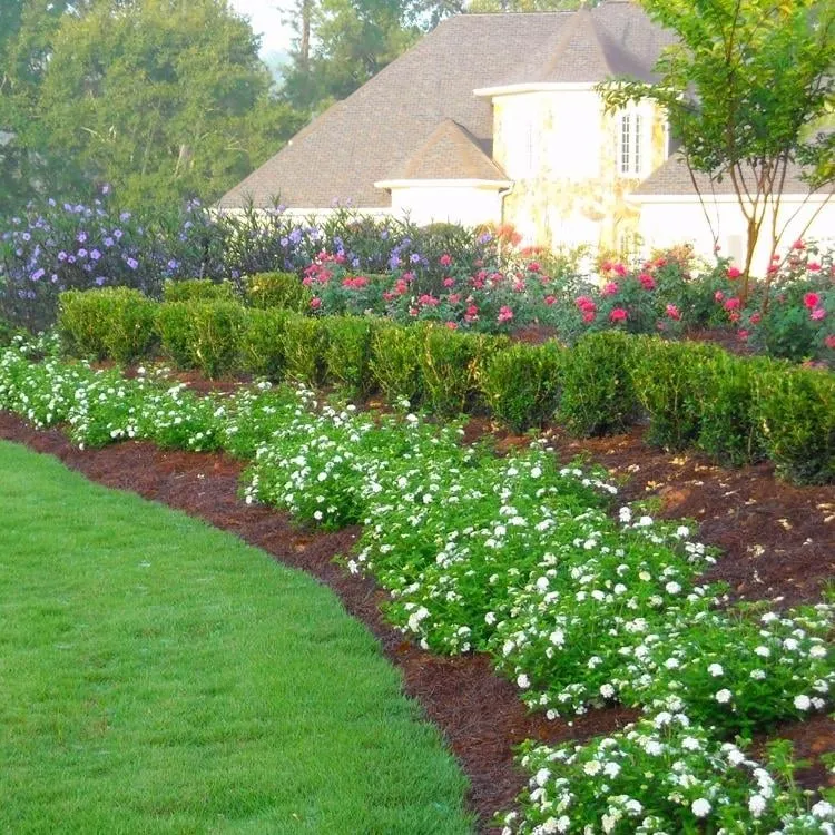 Affordable landscaping services experts serving Acworth, GA - Grass Guys