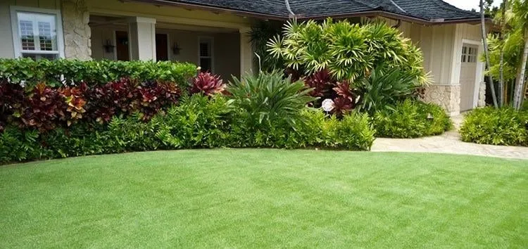 Local lawn mowing service in Acworth, GA by Grass Guys