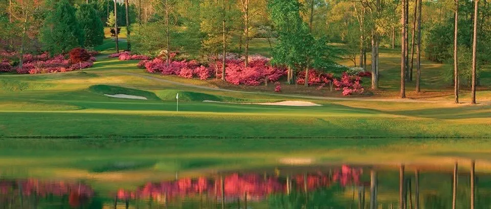 Top-rated landscape design with custom design across Acworth, GA - Grass Guys