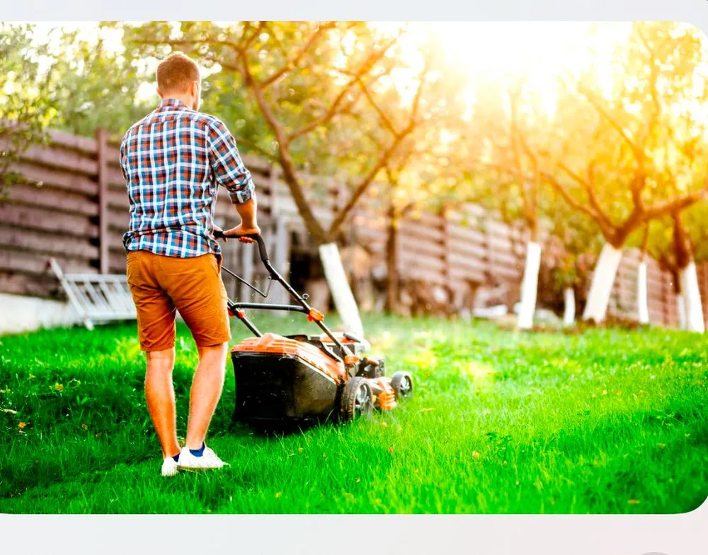 Trusted yard cleanup service in Billings, MT - Grass Guys