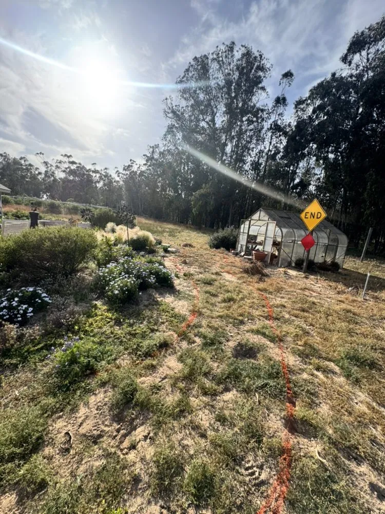 Affordable yard maintenance for outdoor upgrades in Santa Maria, CA by Grass Guys