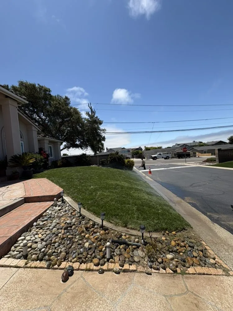 Affordable landscaping services with custom design in Santa Maria, CA by Grass Guys