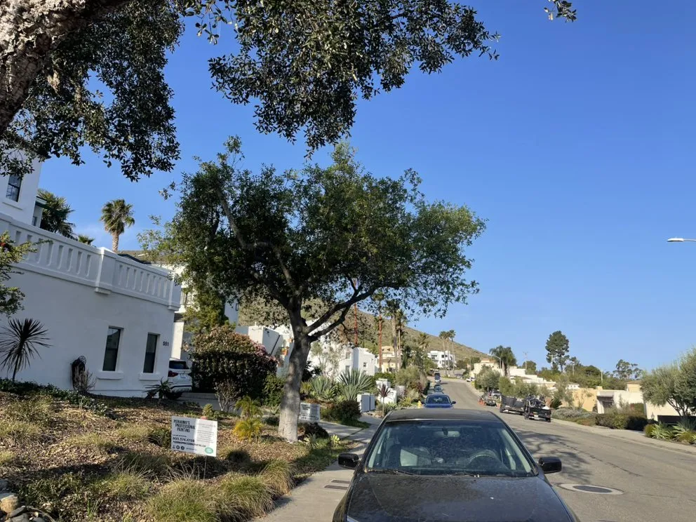 Custom yard maintenance in Santa Maria, CA - Grass Guys