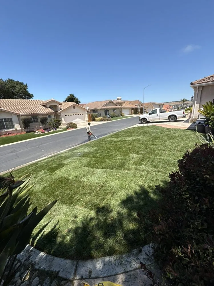 Reliable landscaping services experts serving Santa Maria, CA - Grass Guys
