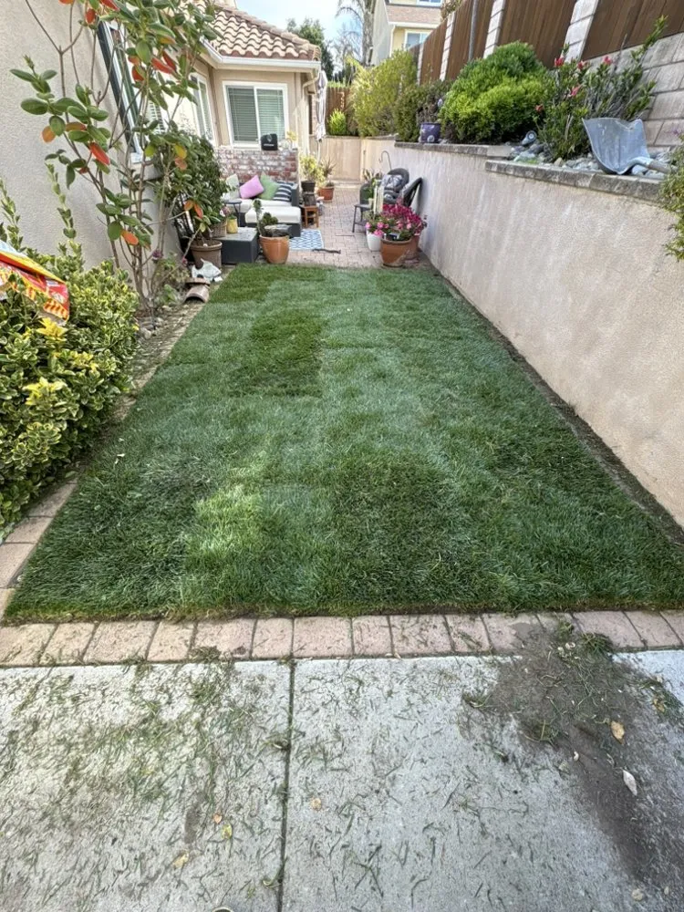 Professional landscaping services experts serving Santa Maria, CA - Grass Guys