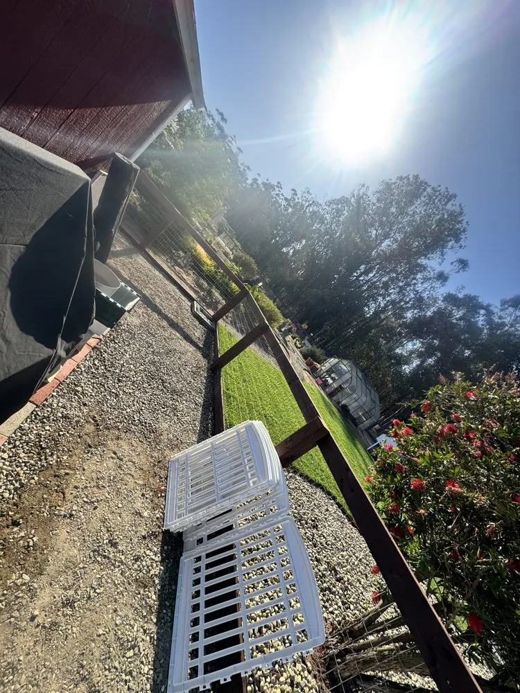 Top-rated lawn care service in Santa Maria, CA by Grass Guys