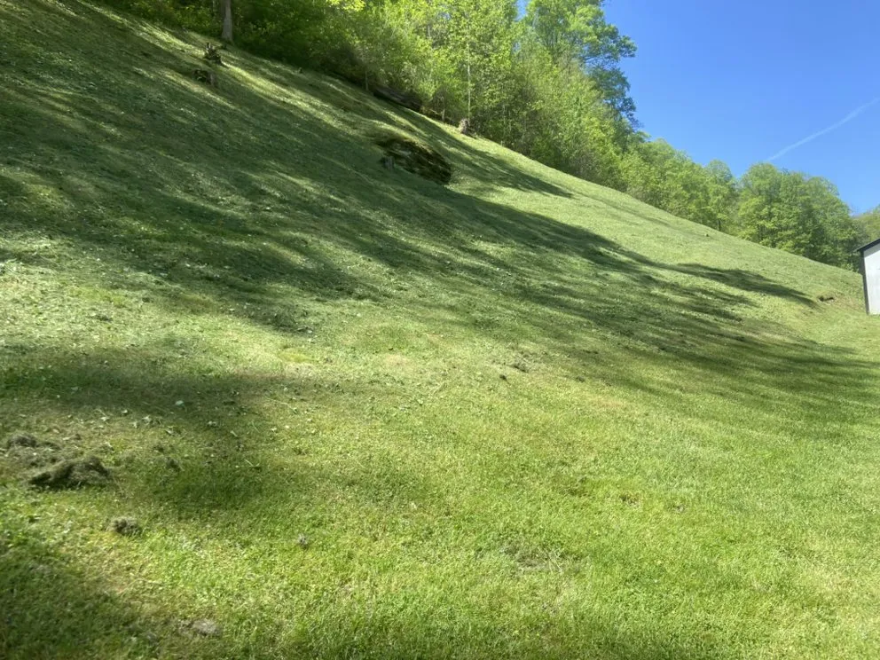 Custom yard cleanup service in Oceana, WV - Grass Guyz Lawn and Landscape