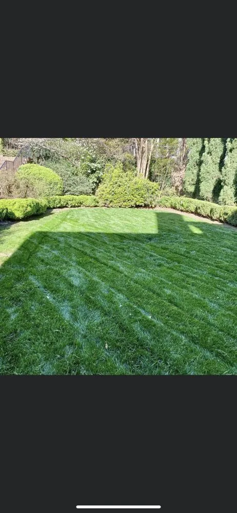 Affordable lawn mowing service experts serving Slater-Marietta, SC - Grass Guyz