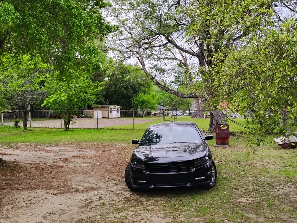 Professional yard cleanup service for residential properties across Macon, GA - Grass Hoggers