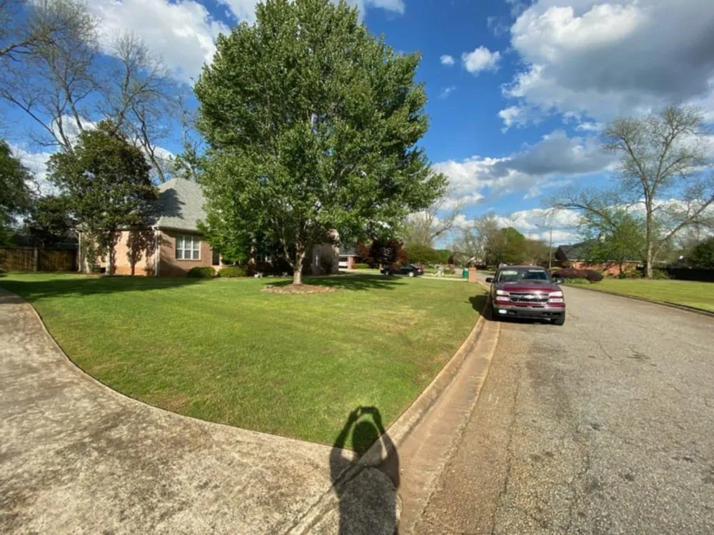 Professional landscape design for beautiful yards across Macon, GA - Grass Hoggers