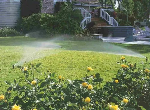 Custom yard cleanup service for homes in Houston, TX by Grass Hopper