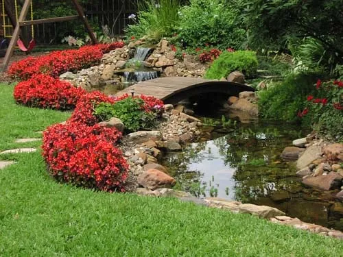 Expert lawn mowing service in Houston, TX - Grass Hopper