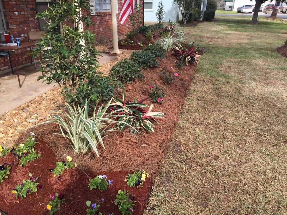 Expert lawn care service near you across Alexandria, LA - Grass Hopper Lawn Care