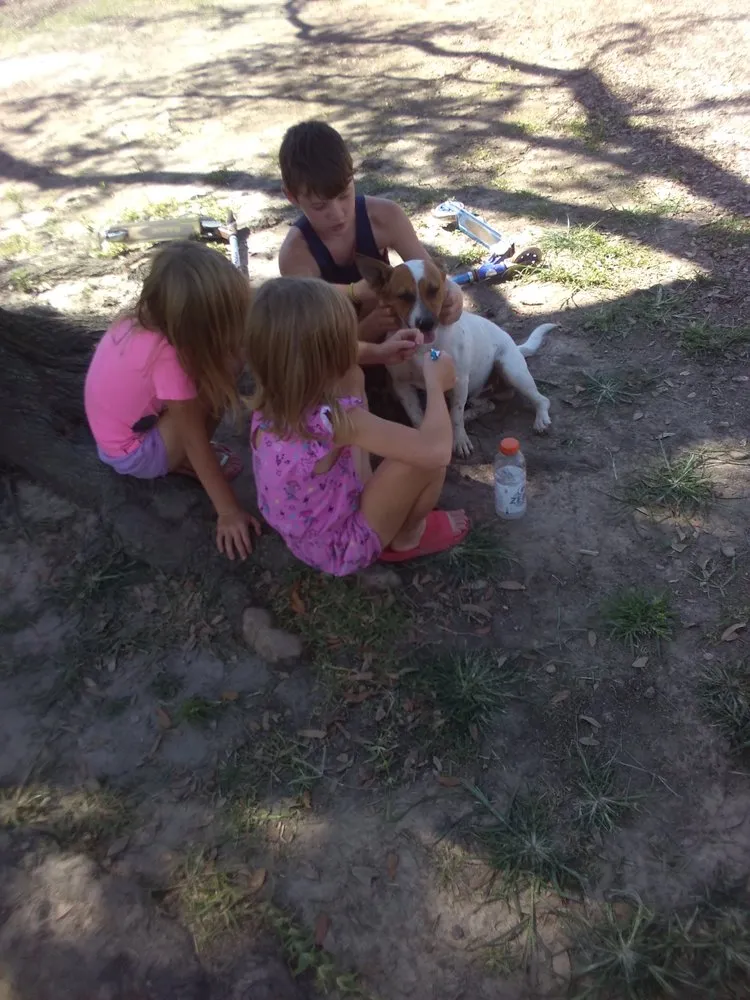 Custom yard maintenance in Alexandria, LA - Grass Hopper Lawn Care