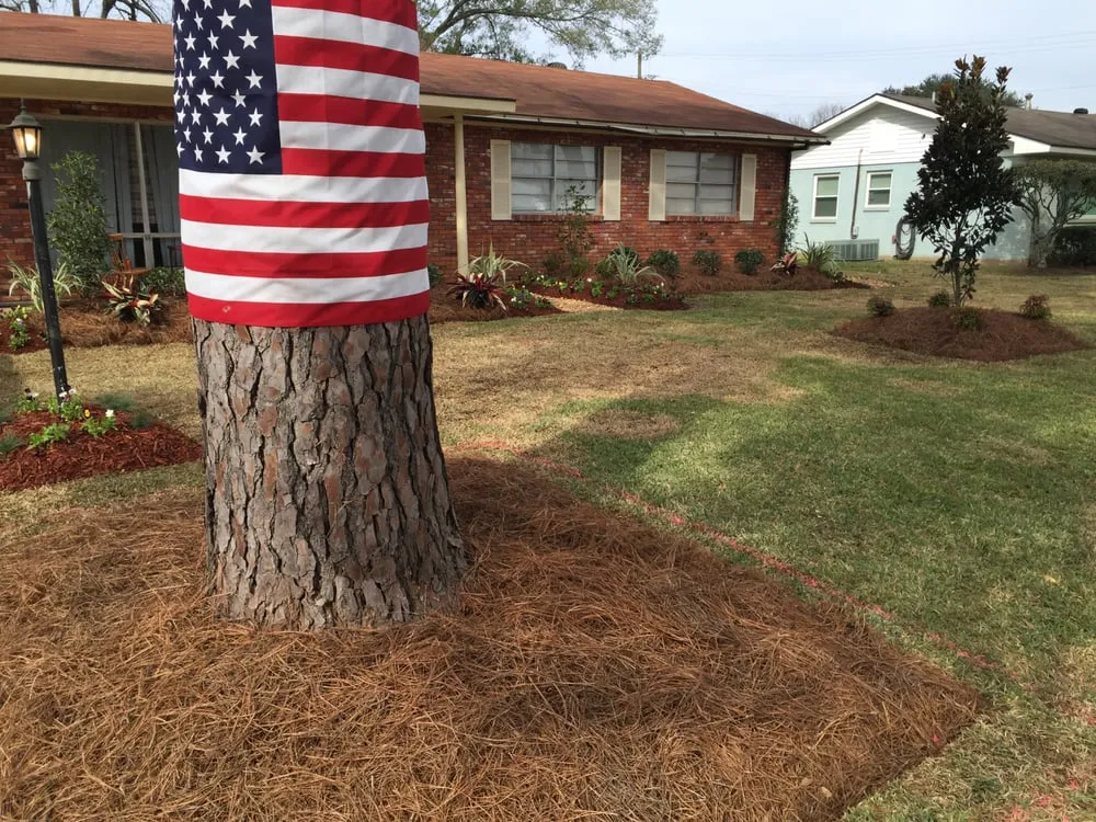 Trusted landscape design for homes in Alexandria, LA by Grass Hopper Lawn Care