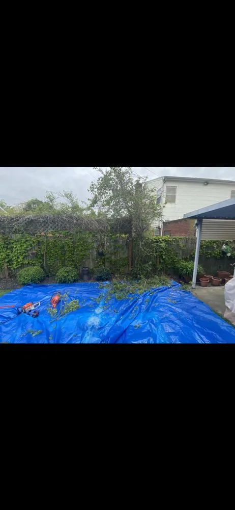 Reliable lawn care service in Queens, NY by Grass-Hoppers Landscaping