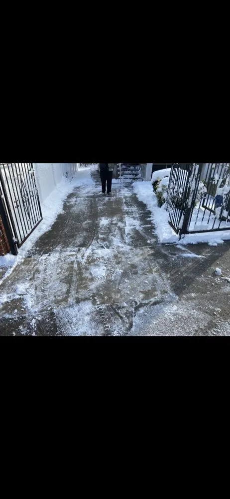 Top-rated garden landscaping for beautiful yards in Queens, NY by Grass-Hoppers Landscaping