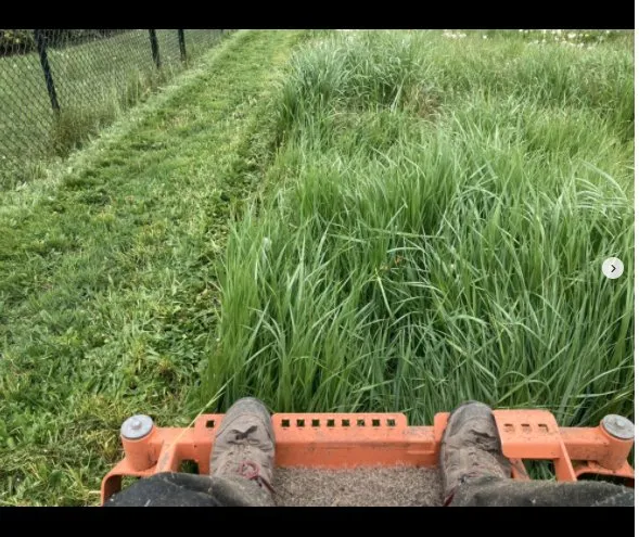 Local residential landscaping experts serving Puyallup, WA - Grass-Hoppers Lawn Care