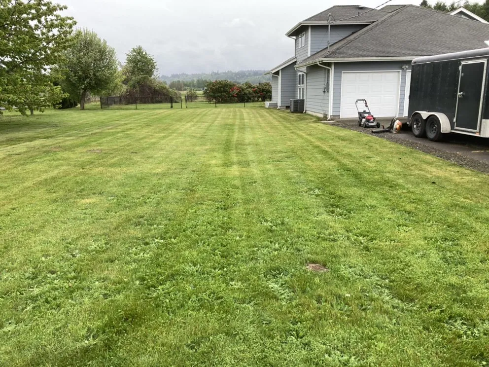 Trusted yard cleanup service for homes across Puyallup, WA - Grass-Hoppers Lawn Care