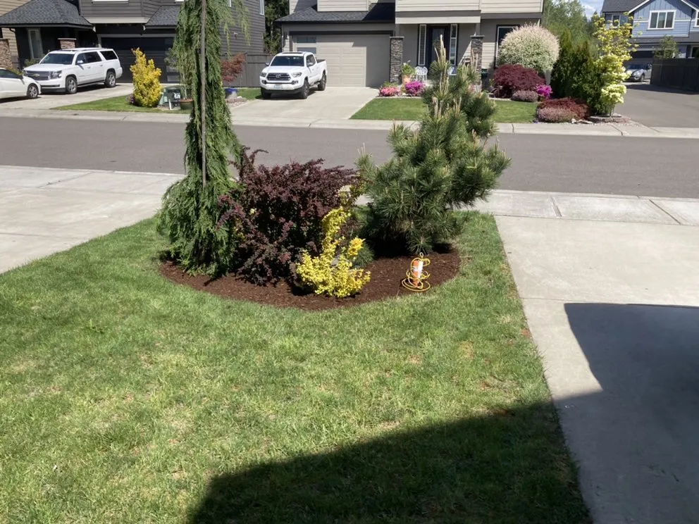 Professional lawn mowing service for beautiful yards across Puyallup, WA - Grass-Hoppers Lawn Care