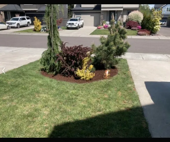 Custom landscape installation in Puyallup, WA by Grass-Hoppers Lawn Care