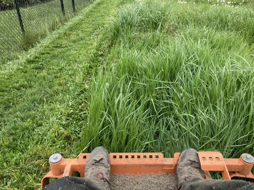 Affordable yard maintenance in Puyallup, WA - Grass-Hoppers Lawn Care