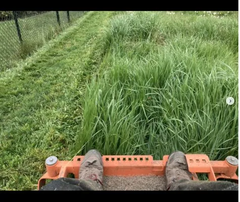 Grass-Hoppers Lawn Care Logo