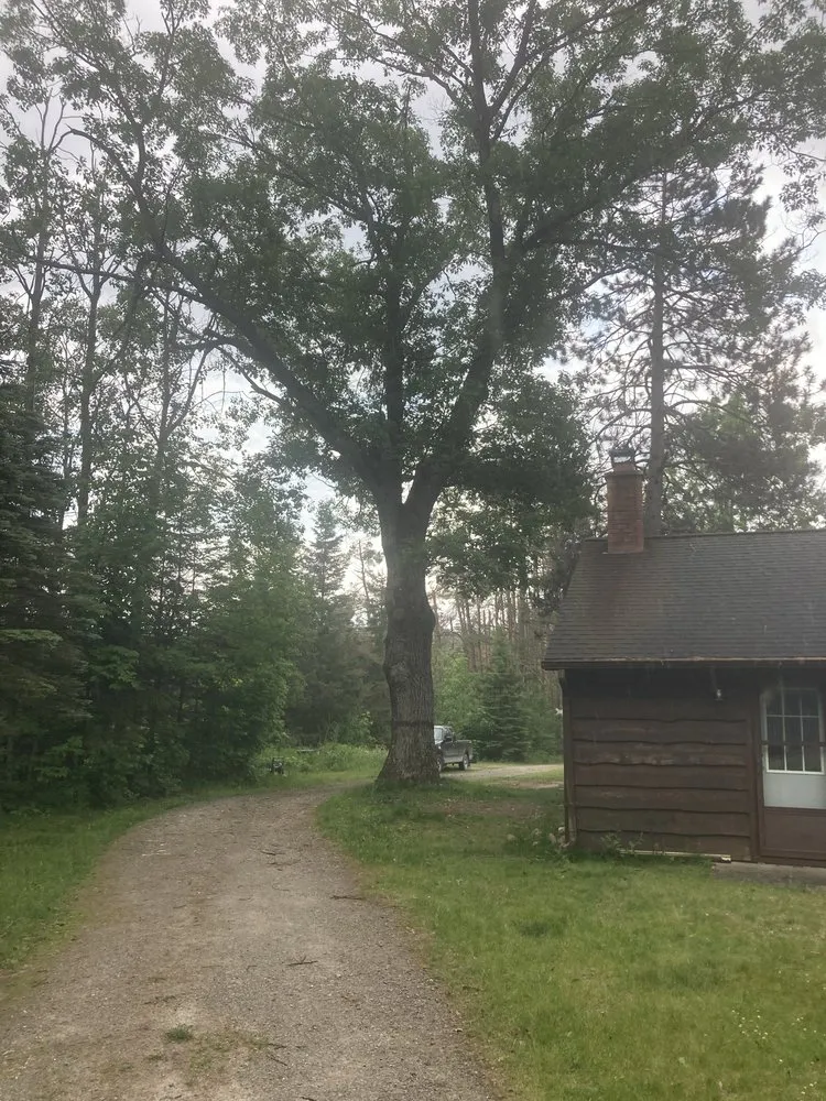 Affordable landscaping services experts serving Spruce, MI - Grass Hoppers